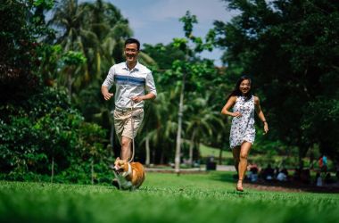 Learning The Art To Stay Healthy And Happy