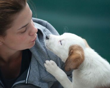 Ways to Celebrate & Shelter the Puppies on National Rescue Dog Day