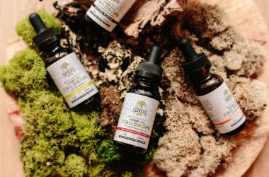 10 Common Myths About CBD Products