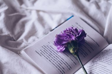 National Book Lover’s Day: Top Offers to Buy Best Selling Books